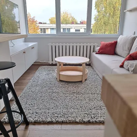 Stylish In Apartamento Vilnius