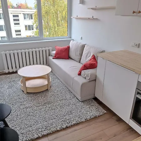 Stylish In Apartment *